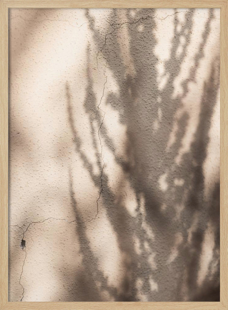 Summer Shadows 7 | Poster