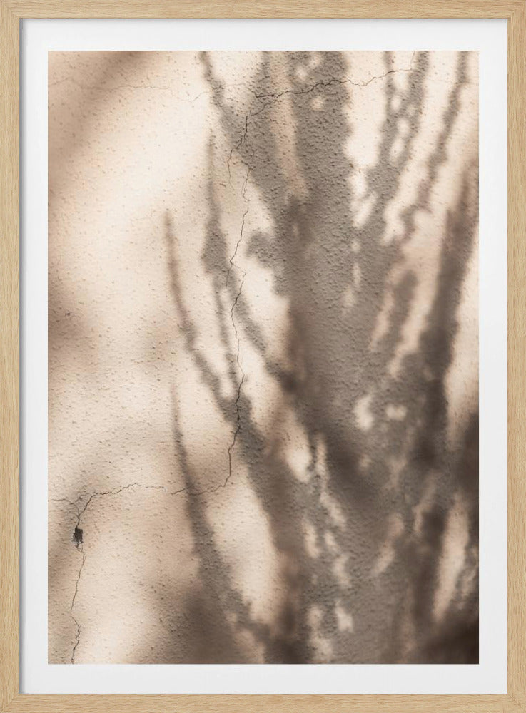Summer Shadows 7 | Poster