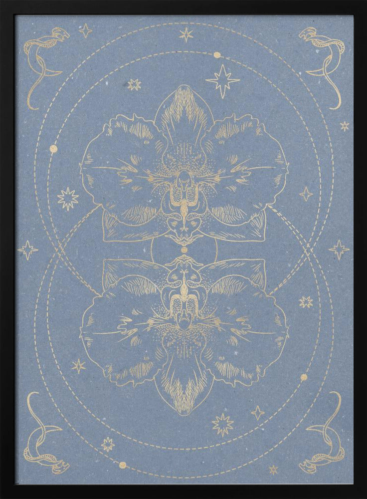 Die mystische Orchidee | Poster