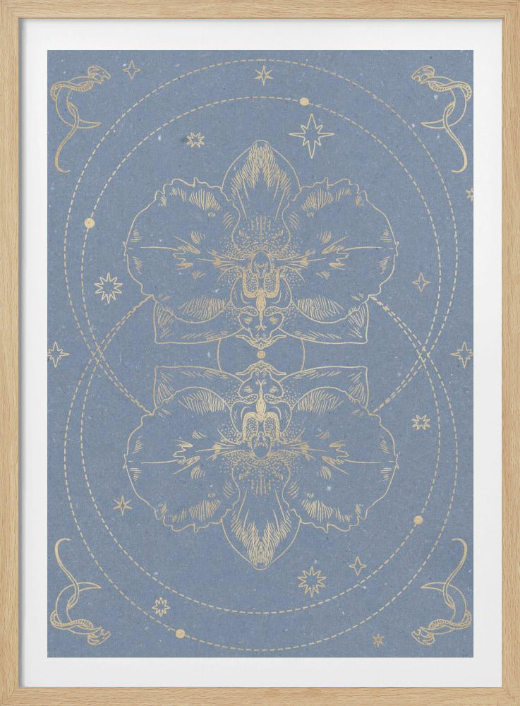 Die mystische Orchidee | Poster