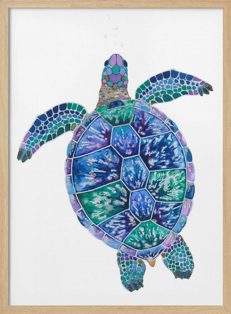Turtle's Dreamscape | Poster
