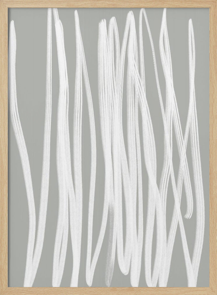 Weiße lineare Striche | Poster