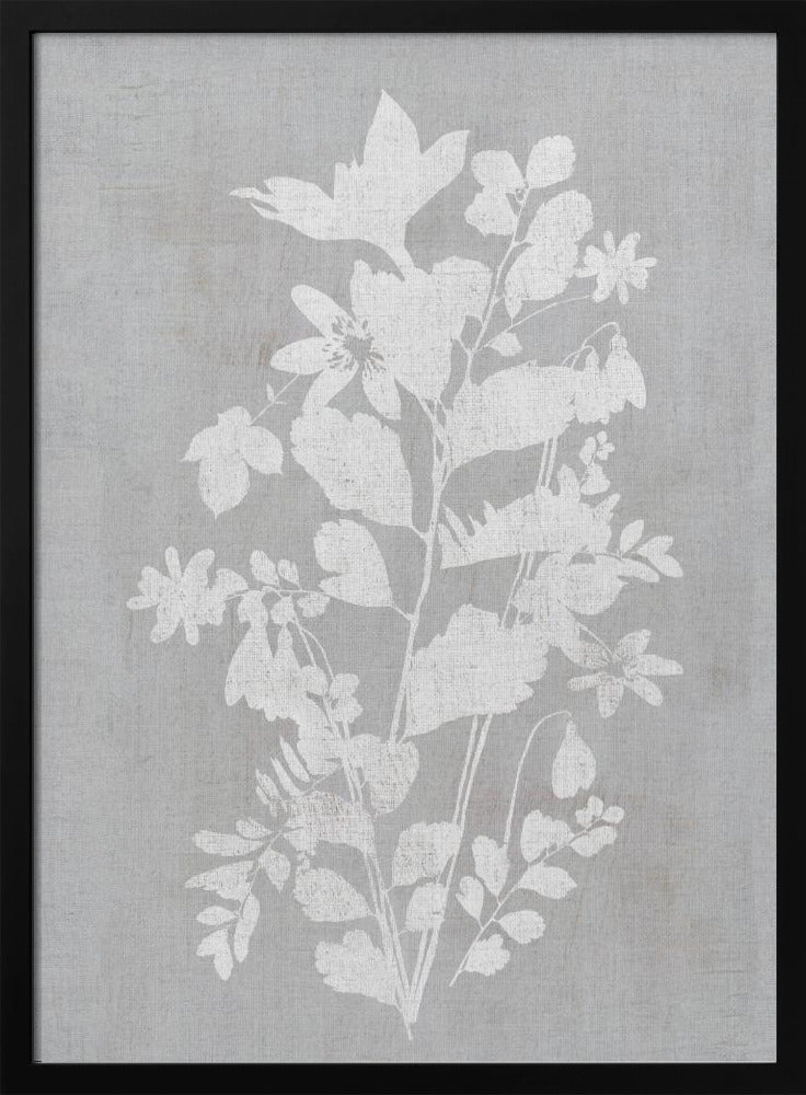 Botanical Illustration 2 | Poster