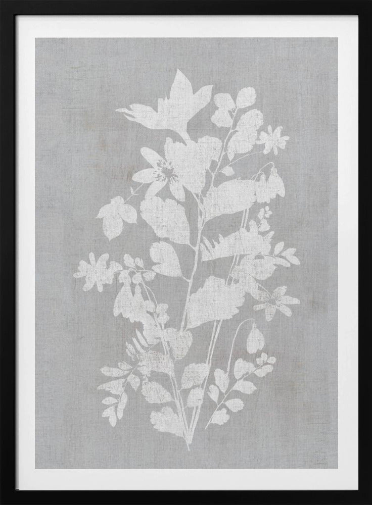 Botanical Illustration 2 | Poster