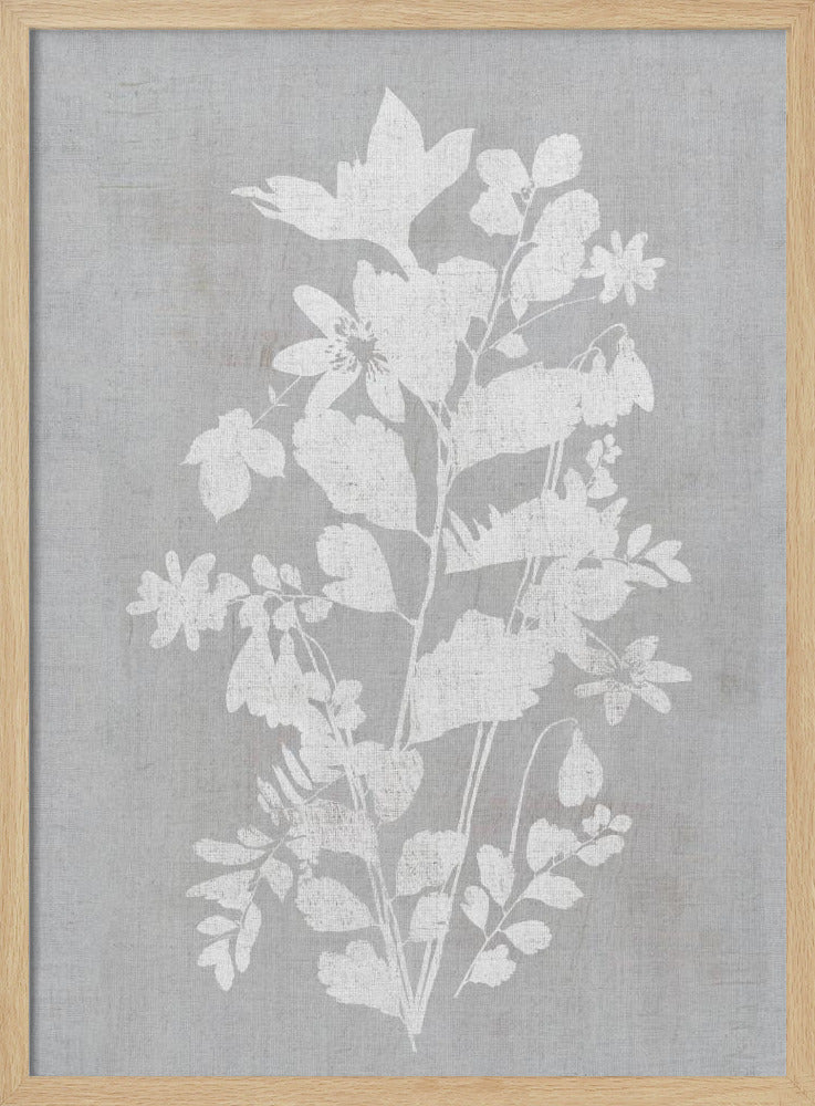 Botanical Illustration 2 | Poster