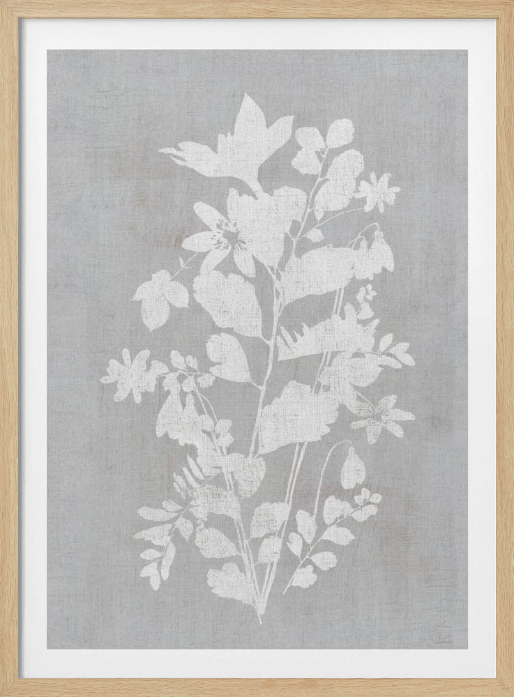 Botanical Illustration 2 | Poster