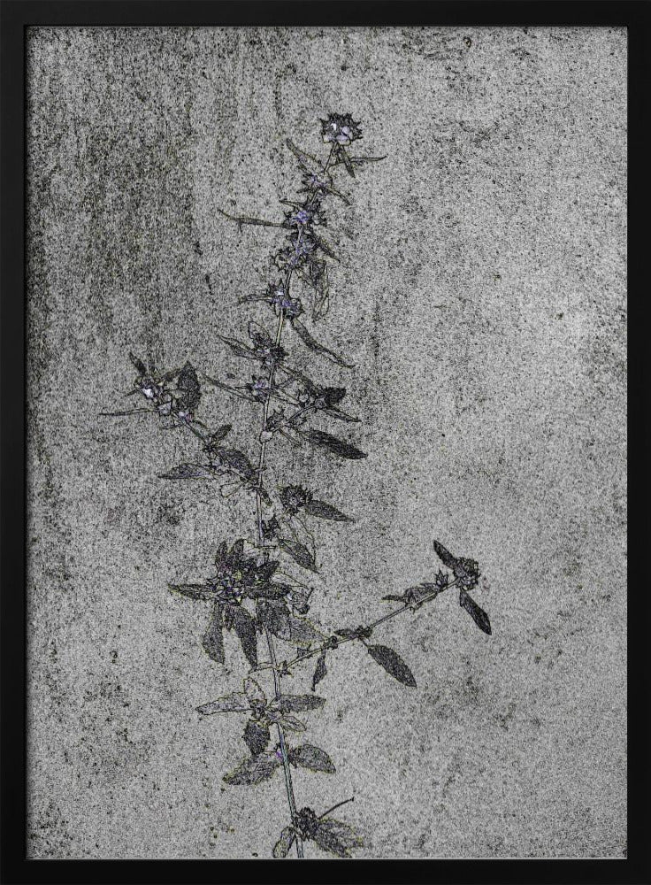 Concrete Blossoms | Poster