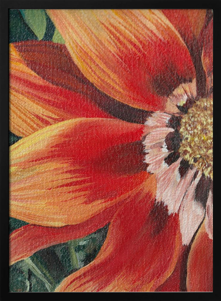 Gazania 1 von Viccy Wanliss | Poster