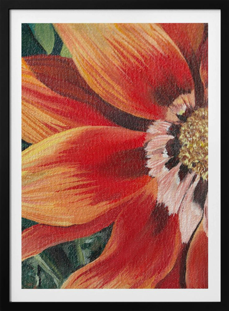 Gazania 1 von Viccy Wanliss | Poster