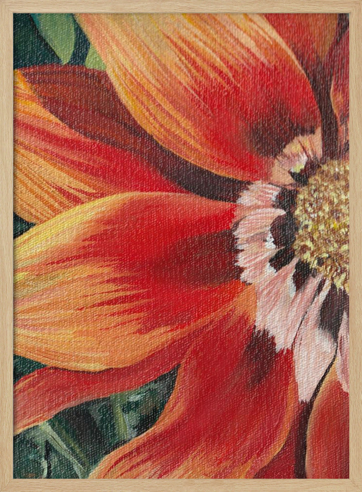 Gazania 1 von Viccy Wanliss | Poster