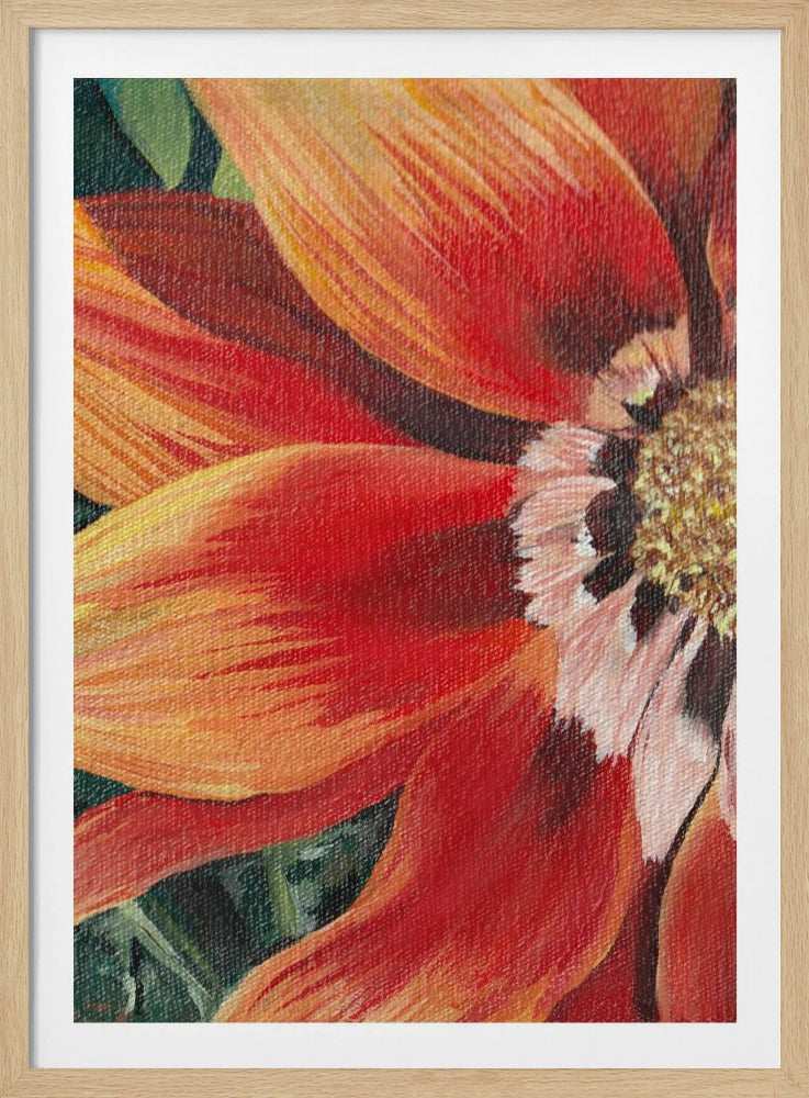 Gazania 1 von Viccy Wanliss | Poster