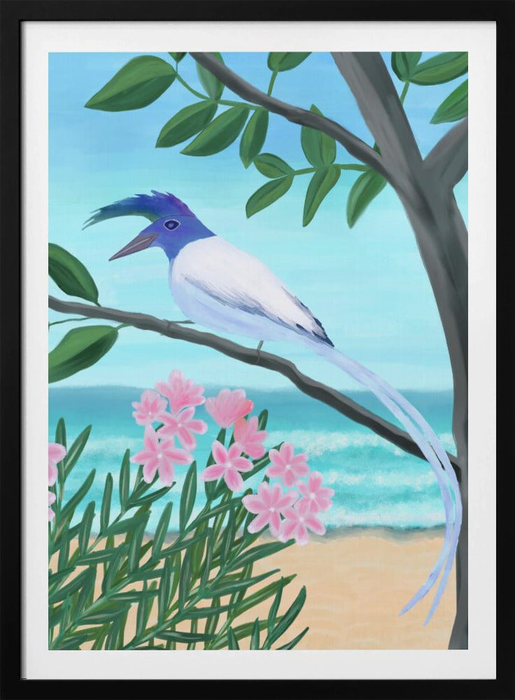 White-throated Magpie-Jay | Poster