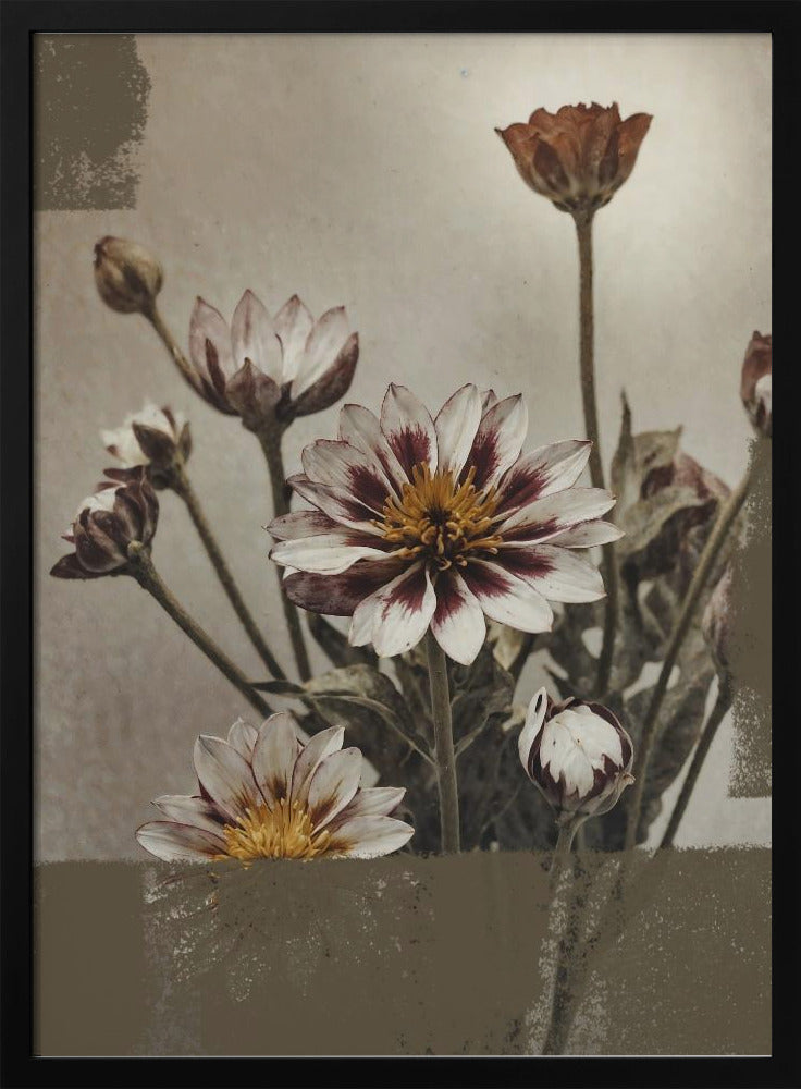 5 Vintage-Blumen | Poster