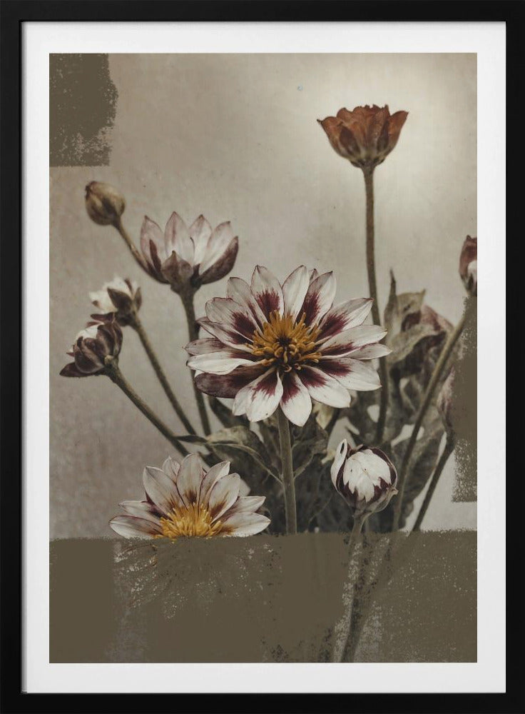 5 Vintage-Blumen | Poster