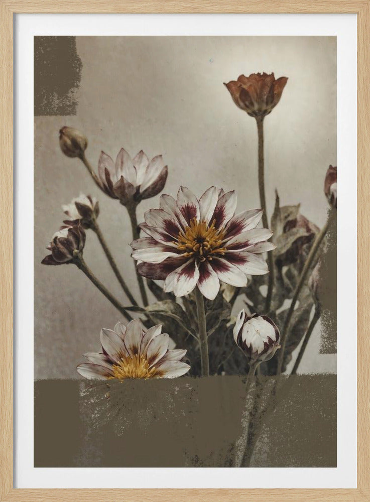 5 Vintage-Blumen | Poster