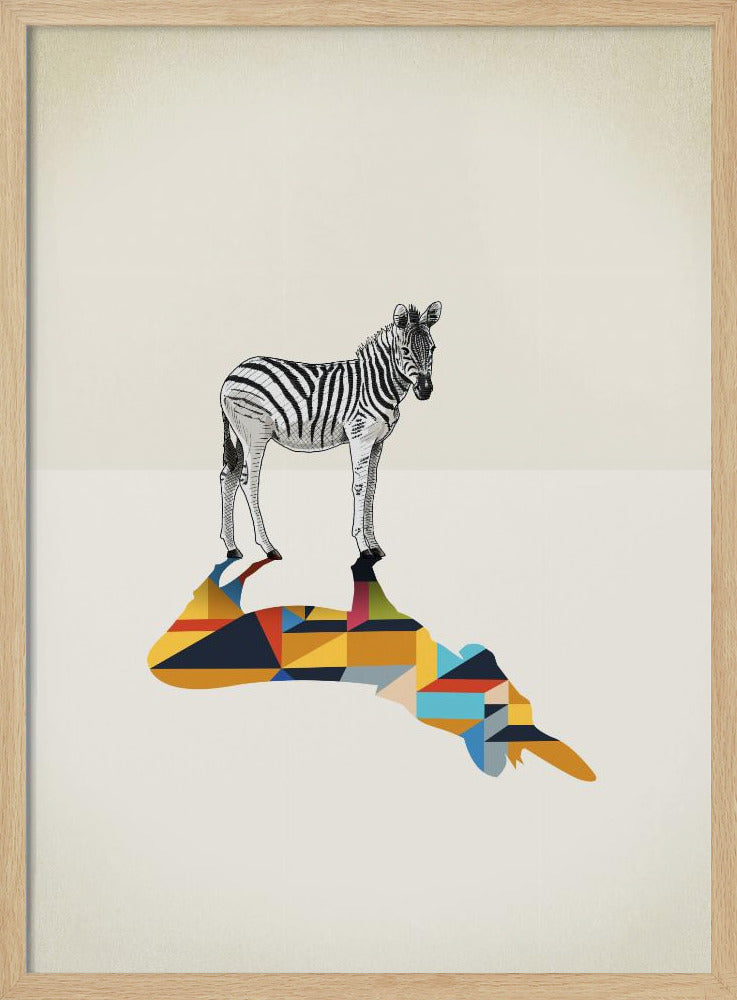Walking Shadow, Zebra | Poster