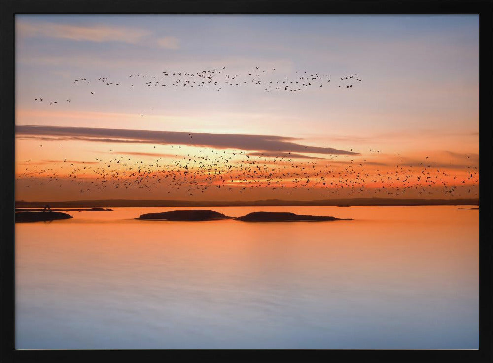 bei Sonnenuntergang | Poster