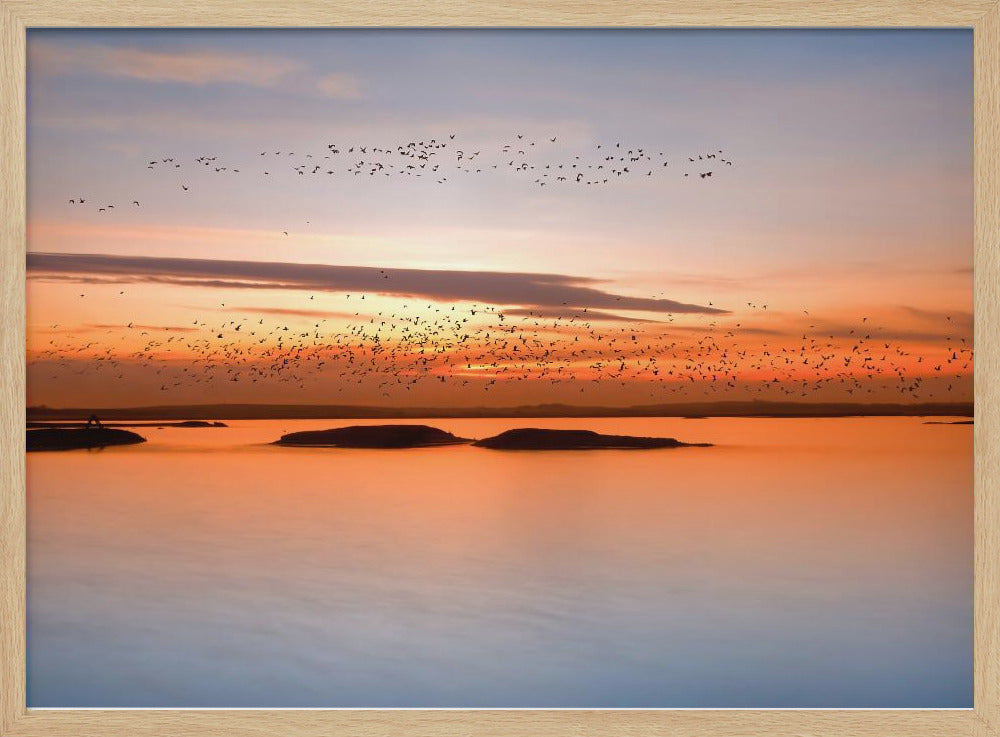 bei Sonnenuntergang | Poster
