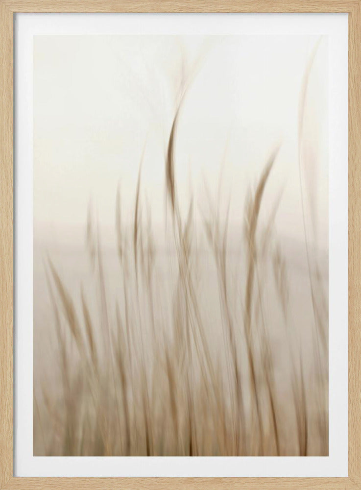 In the wind | Poster