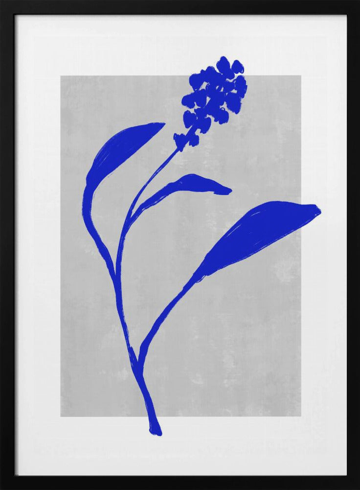 Azurblaue Blütensilhouette | Poster