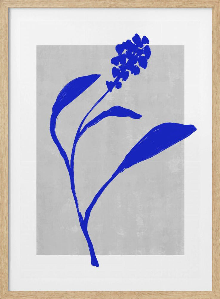 Azurblaue Blütensilhouette | Poster