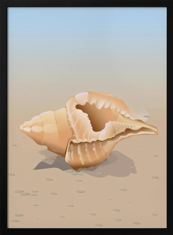 Muschel am Meer | Poster