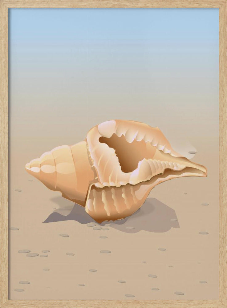 Muschel am Meer | Poster