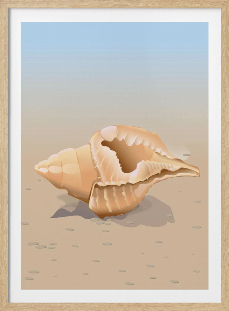 Muschel am Meer | Poster