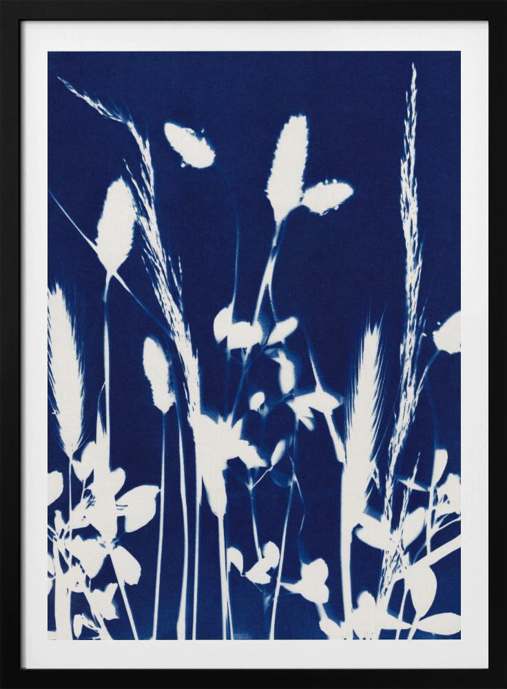 Cyan Herbarium #1 | Poster