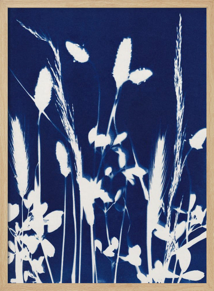 Cyan Herbarium #1 | Poster