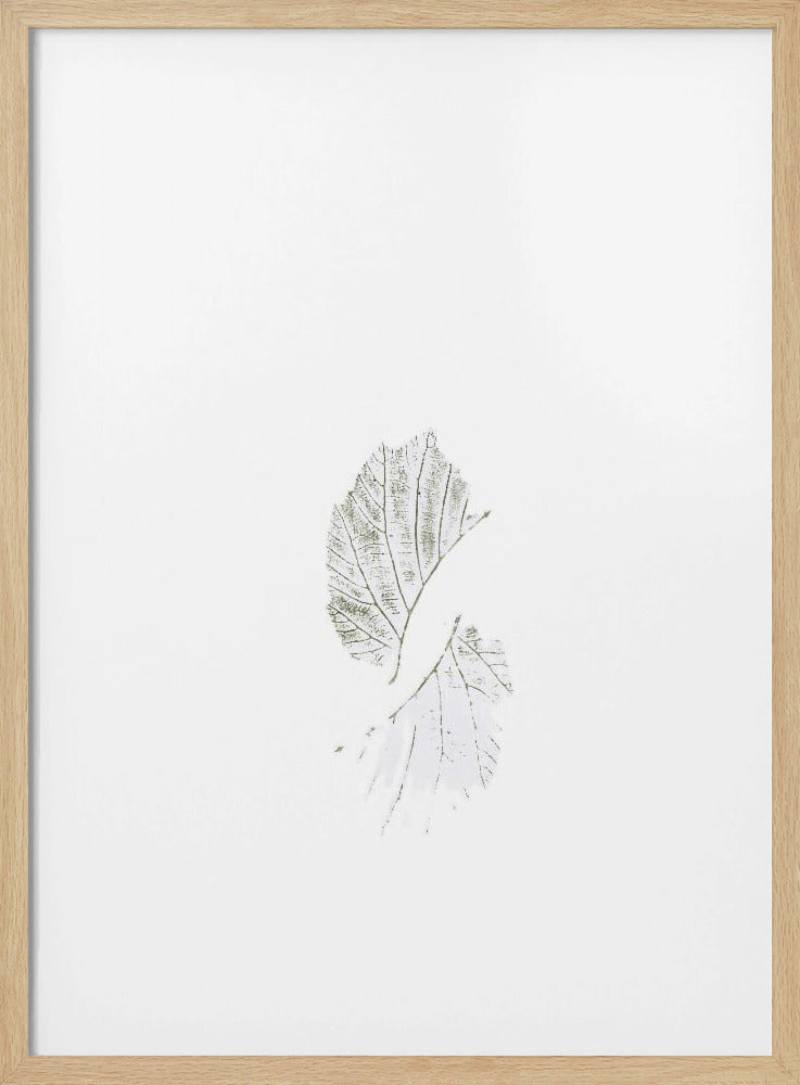 Minimale Blätter | Poster