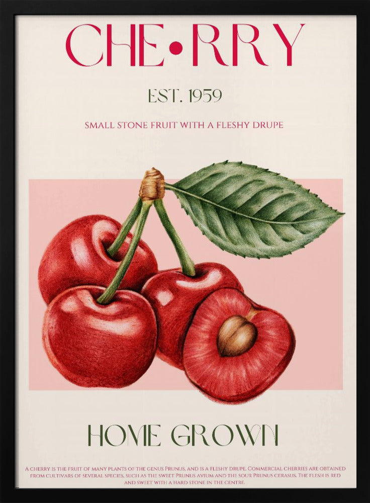 Süße rote Kirschen | Poster
