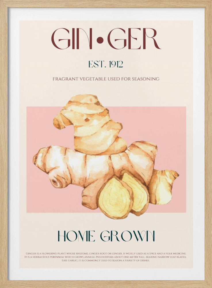 Aquarellillustration von Ingwer | Poster