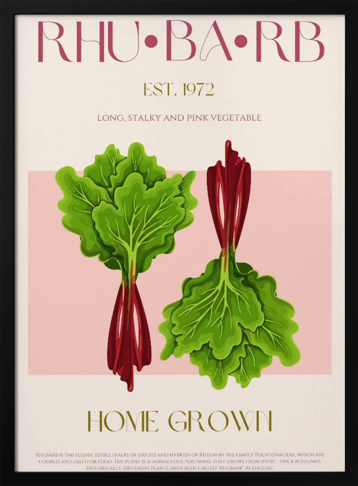 Illustrierter Rhabarber mit leuchtend rosa Stielen | Poster