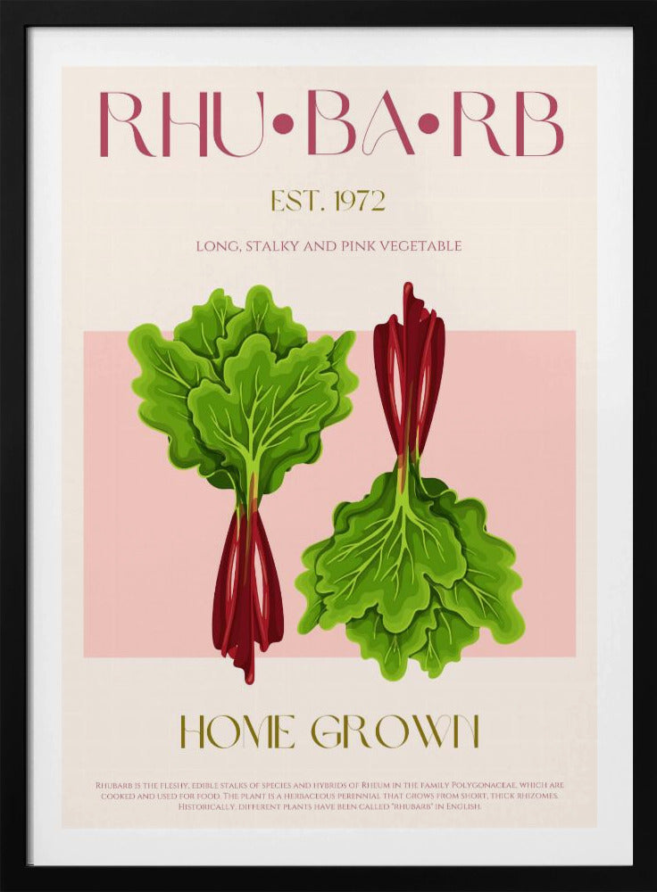 Illustrierter Rhabarber mit leuchtend rosa Stielen | Poster
