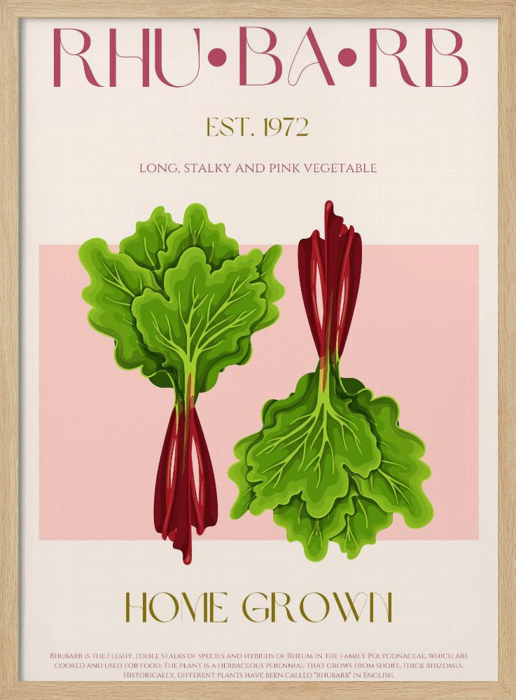 Illustrierter Rhabarber mit leuchtend rosa Stielen | Poster