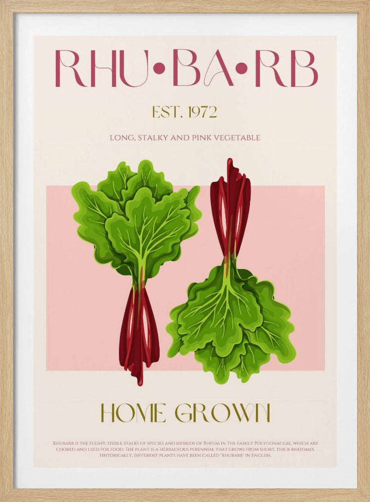 Illustrierter Rhabarber mit leuchtend rosa Stielen | Poster
