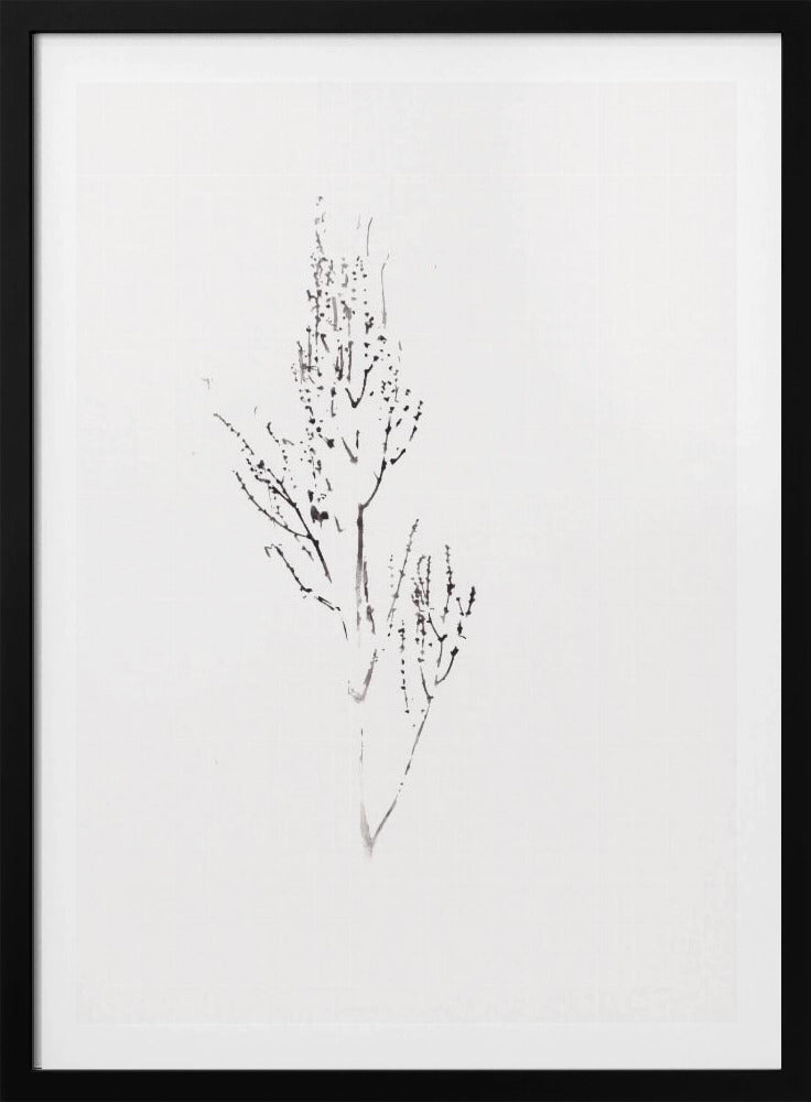 Pflanzen | Poster
