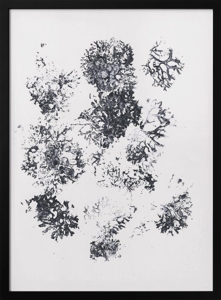 Pflanzen II | Poster