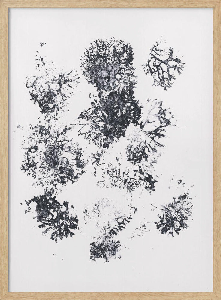 Pflanzen II | Poster