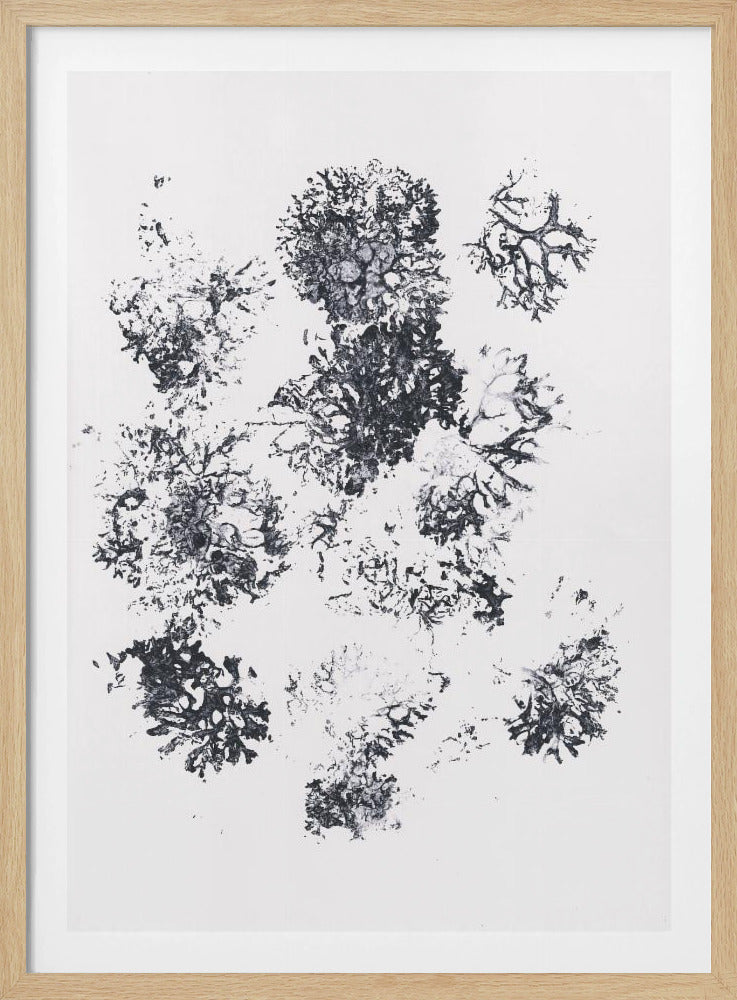 Pflanzen II | Poster