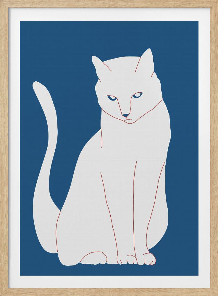 Weiße und blaue Katze | Poster