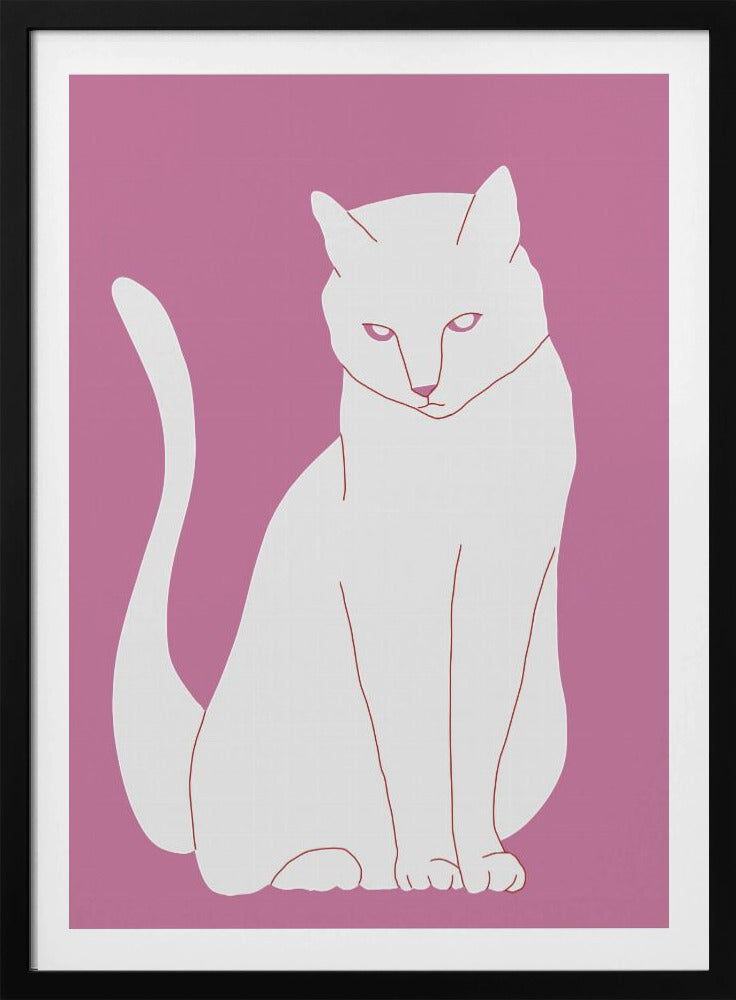 Weiße und rosa Katze | Poster