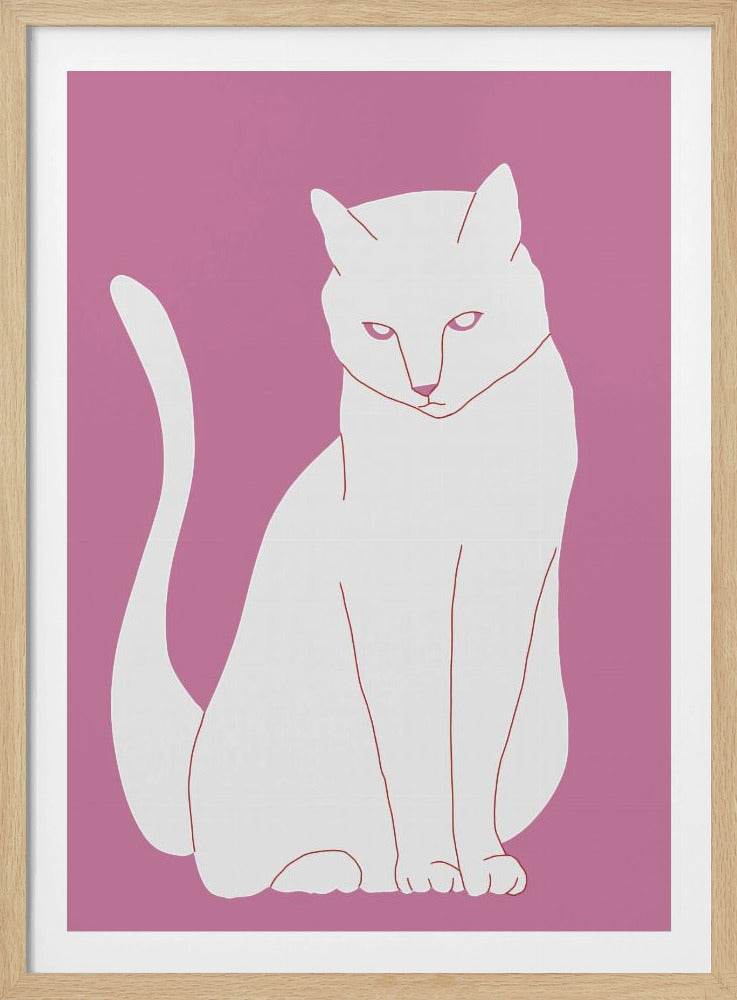 Weiße und rosa Katze | Poster