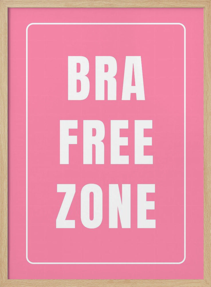 Freedom Zone Sign | Poster