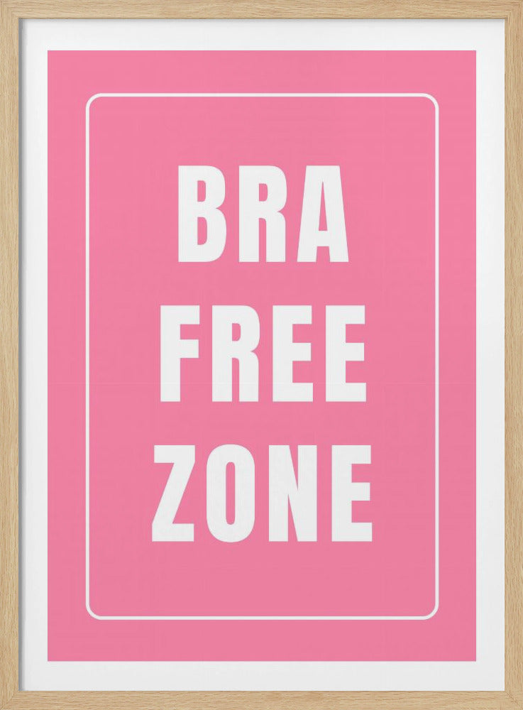 Freedom Zone Sign | Poster