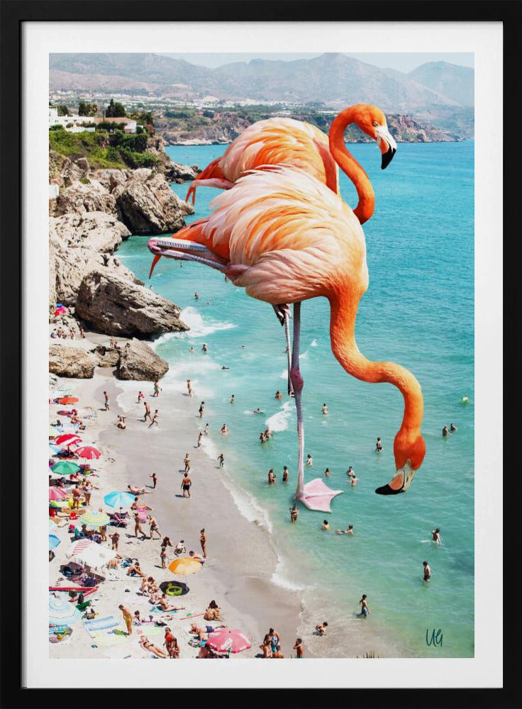 Flamingos am Strand | Poster