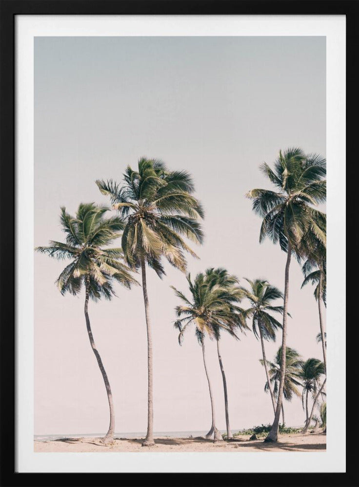 Blush Tropical Trees | Poster