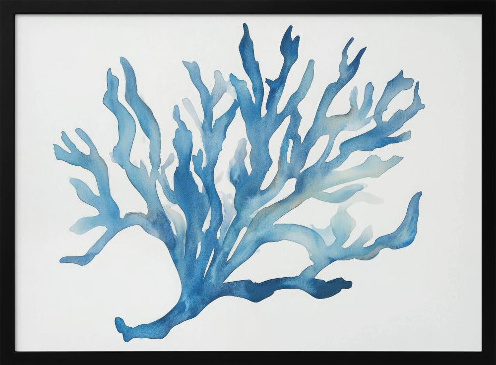 Blaue Koralle | Poster