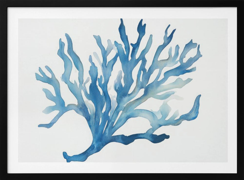 Blaue Koralle | Poster